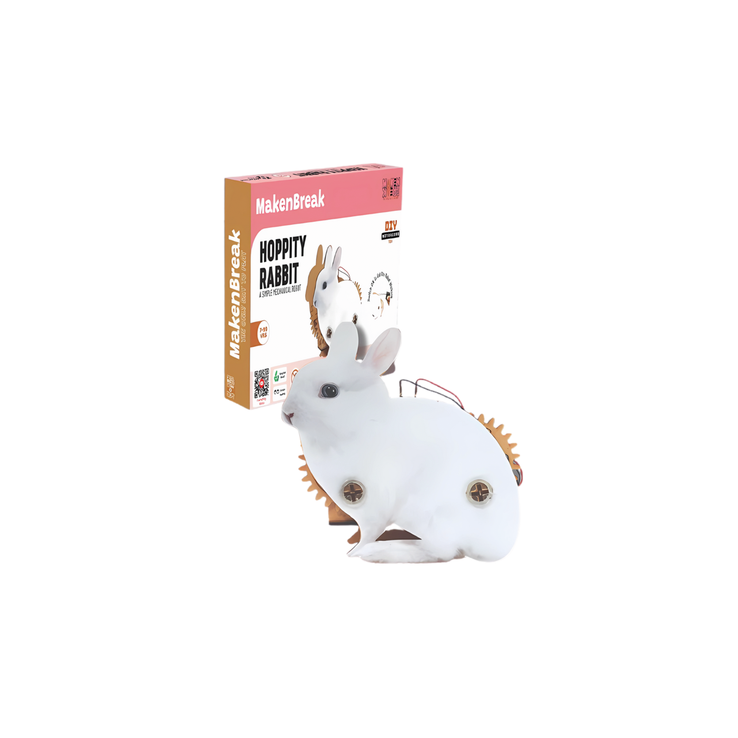 HOPPITY RABBIT DIY (MOTORIZED)