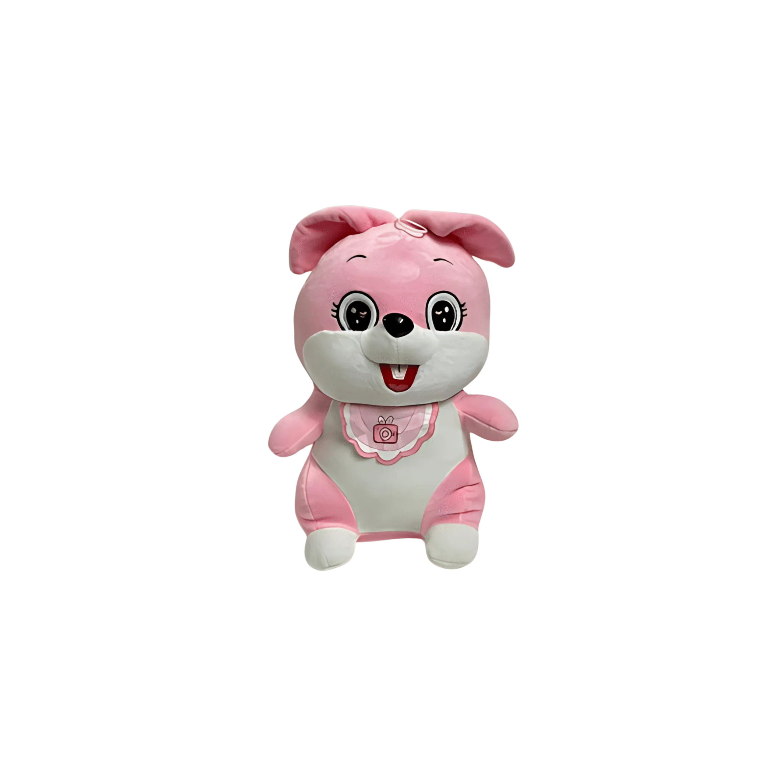 PINK & WHITE CAT